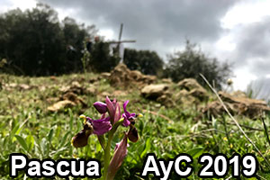 Pascua AyC 2019
